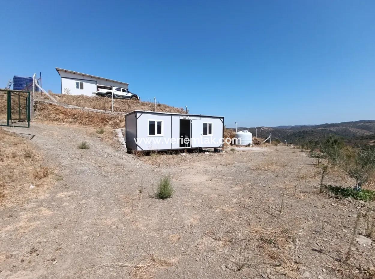 Auf Dem Weg Nach Seferihisar Ulamış, Investitionsmöglichkeit! 1700 M² Olivenhain-Grundstück Mit Panoramablick