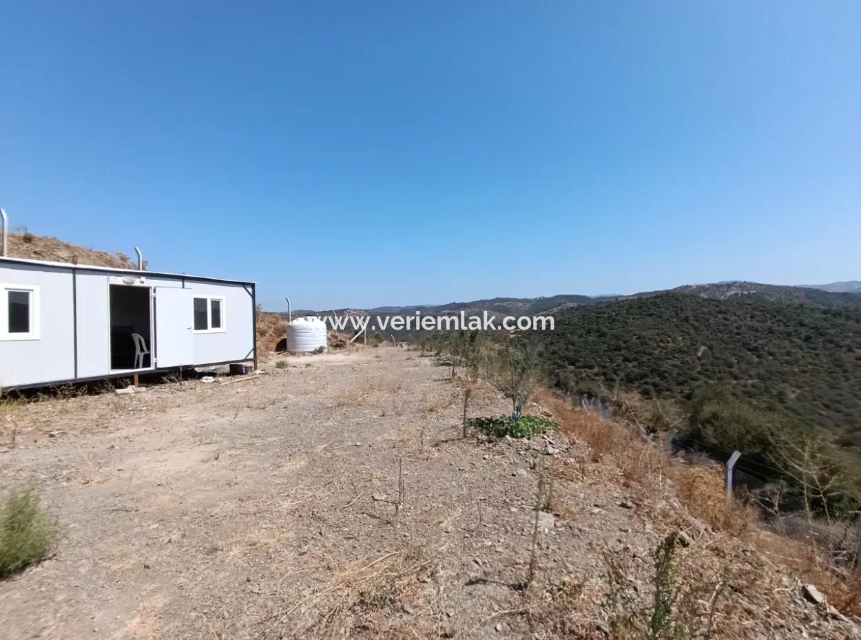 Auf Dem Weg Nach Seferihisar Ulamış, Investitionsmöglichkeit! 1700 M² Olivenhain-Grundstück Mit Panoramablick