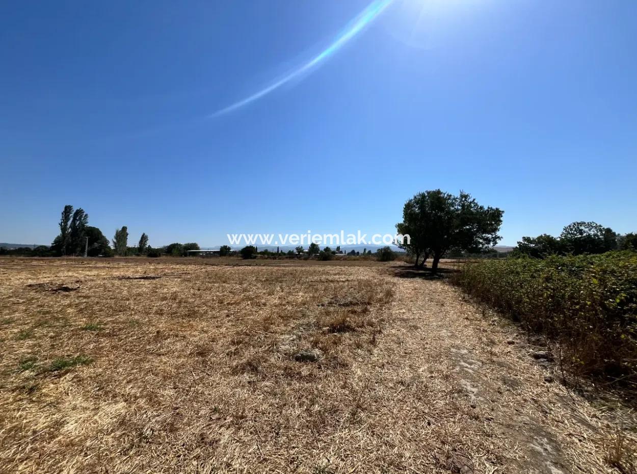 Einzigartiges Feld In Der Nachbarschaft Von Seferihisar Düzce