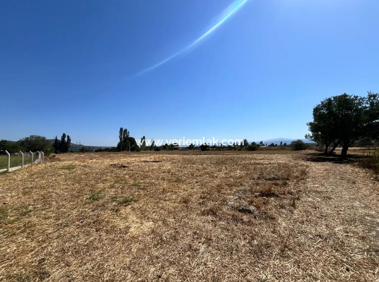 Einzigartiges Feld In Der Nachbarschaft Von Seferihisar Düzce