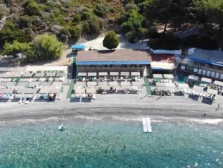 Bereit Zur Sitzung! Ferienhaus Mit Meerblick In Dogankent