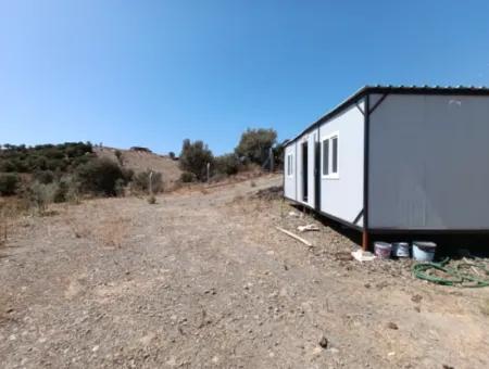 Auf Dem Weg Nach Seferihisar Ulamış, Investitionsmöglichkeit! 1700 M² Olivenhain-Grundstück Mit Panoramablick