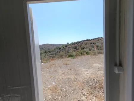 Auf Dem Weg Nach Seferihisar Ulamış, Investitionsmöglichkeit! 1700 M² Olivenhain-Grundstück Mit Panoramablick