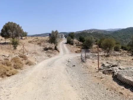 Auf Dem Weg Nach Seferihisar Ulamış, Investitionsmöglichkeit! 1700 M² Olivenhain-Grundstück Mit Panoramablick