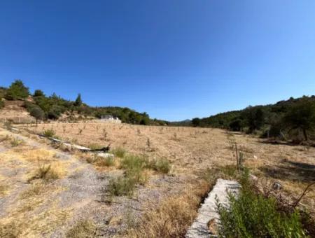 Ideales Grundstück Für Naturliebhaber! 7600 M² Weinberghaus Und Olivenhain Neben Dem Kavakdere-Staudamm