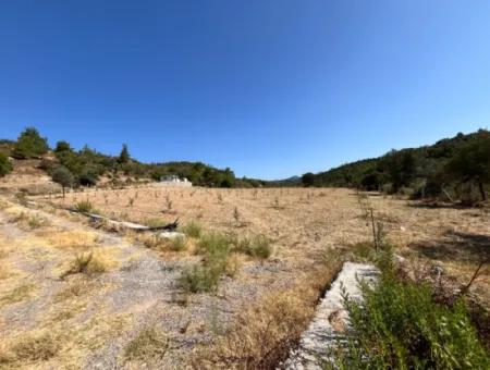 Ideales Grundstück Für Naturliebhaber! 7600 M² Weinberghaus Und Olivenhain Neben Dem Kavakdere-Staudamm