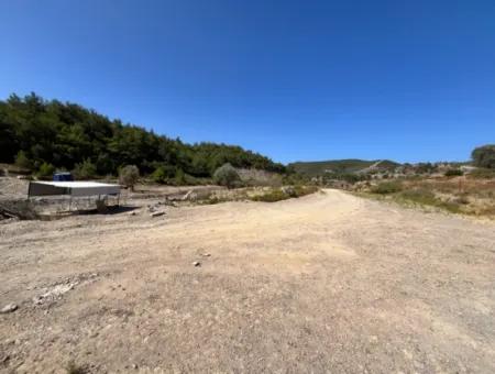 Ideales Grundstück Für Naturliebhaber! 7600 M² Weinberghaus Und Olivenhain Neben Dem Kavakdere-Staudamm