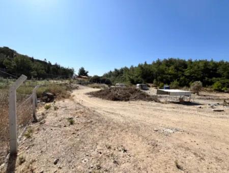 Ideales Grundstück Für Naturliebhaber! 7600 M² Weinberghaus Und Olivenhain Neben Dem Kavakdere-Staudamm