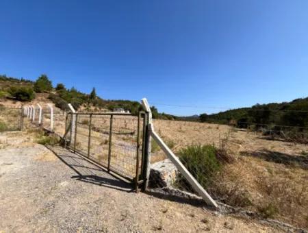 Ideales Grundstück Für Naturliebhaber! 7600 M² Weinberghaus Und Olivenhain Neben Dem Kavakdere-Staudamm