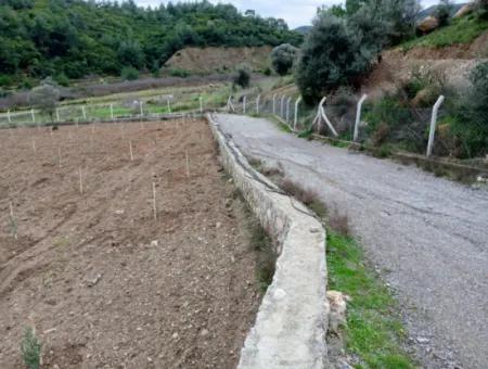 Ideales Grundstück Für Naturliebhaber! 7600 M² Weinberghaus Und Olivenhain Neben Dem Kavakdere-Staudamm