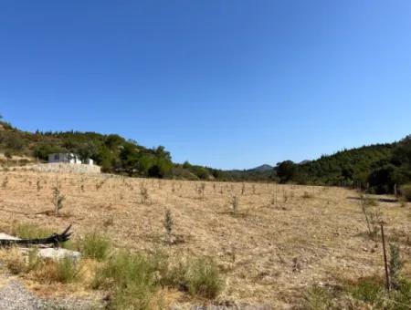 Ideales Grundstück Für Naturliebhaber! 7600 M² Weinberghaus Und Olivenhain Neben Dem Kavakdere-Staudamm