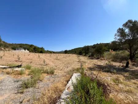 Ideales Grundstück Für Naturliebhaber! 7600 M² Weinberghaus Und Olivenhain Neben Dem Kavakdere-Staudamm