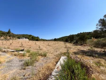 Ideales Grundstück Für Naturliebhaber! 7600 M² Weinberghaus Und Olivenhain Neben Dem Kavakdere-Staudamm