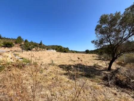 Ideales Grundstück Für Naturliebhaber! 7600 M² Weinberghaus Und Olivenhain Neben Dem Kavakdere-Staudamm