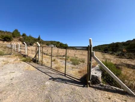 Ideales Grundstück Für Naturliebhaber! 7600 M² Weinberghaus Und Olivenhain Neben Dem Kavakdere-Staudamm