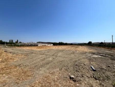 5300 M² Land, Das Für Eine Effiziente Landwirtschaft Und Viehzucht Im Bezirk Seferihisar Düzce Geeignet Ist!