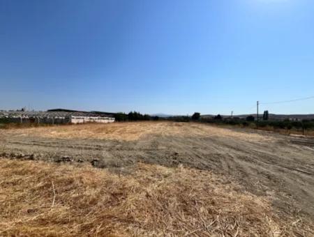 5300 M² Land, Das Für Eine Effiziente Landwirtschaft Und Viehzucht Im Bezirk Seferihisar Düzce Geeignet Ist!