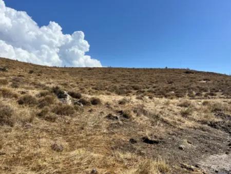 Der Aufgehende Stern Von Seferihisar: 600M² Land Zum Verkauf Im Bezirk Çolakibrahimbey!