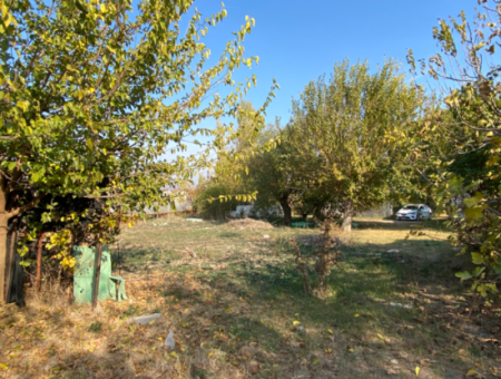 12.200 M2 Feld Zum Verkauf Geeignet Für Die Landwirtschaft In Der Nachbarschaft Seferihisar Düzce