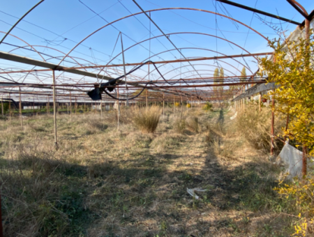 12.200 M2 Feld Zum Verkauf Geeignet Für Die Landwirtschaft In Der Nachbarschaft Seferihisar Düzce