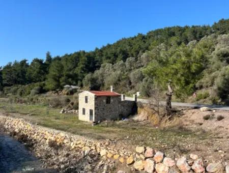 Steinhaus Und Olivenhain Auf 1800 M² Grundstück In Seferihisar Kavakdere