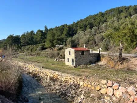 Steinhaus Und Olivenhain Auf 1800 M² Grundstück In Seferihisar Kavakdere