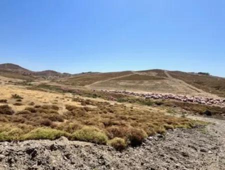 15/30 Zoniertes Grundstück Zum Verkauf In 600M2 Neuer Zonierungszone In Seferihisar Çolakibrahim