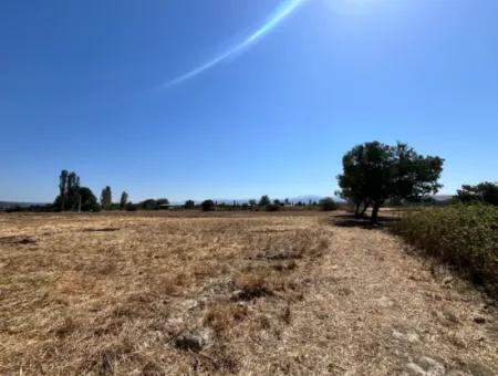 Einzigartiges Feld In Der Nachbarschaft Von Seferihisar Düzce