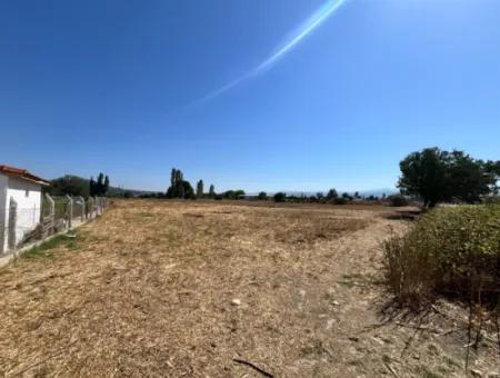 Einzigartiges Feld In Der Nachbarschaft Von Seferihisar Düzce