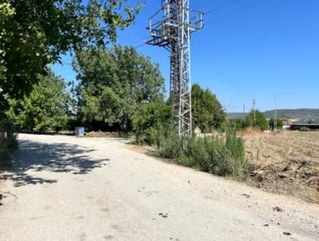 Einzigartiges Feld In Der Nachbarschaft Von Seferihisar Düzce