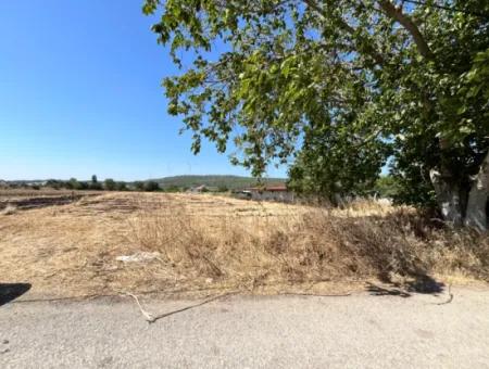 Einzigartiges Feld In Der Nachbarschaft Von Seferihisar Düzce