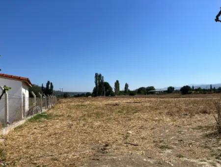 Einzigartiges Feld In Der Nachbarschaft Von Seferihisar Düzce