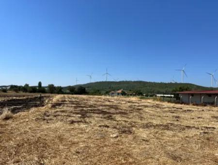 Einzigartiges Feld In Der Nachbarschaft Von Seferihisar Düzce