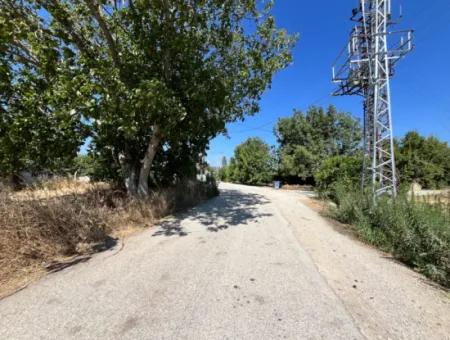 Einzigartiges Feld In Der Nachbarschaft Von Seferihisar Düzce