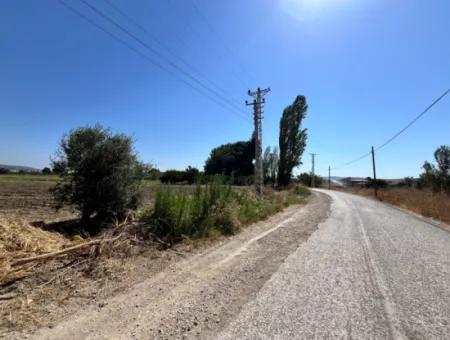 Einzigartiges Feld In Der Nachbarschaft Von Seferihisar Düzce