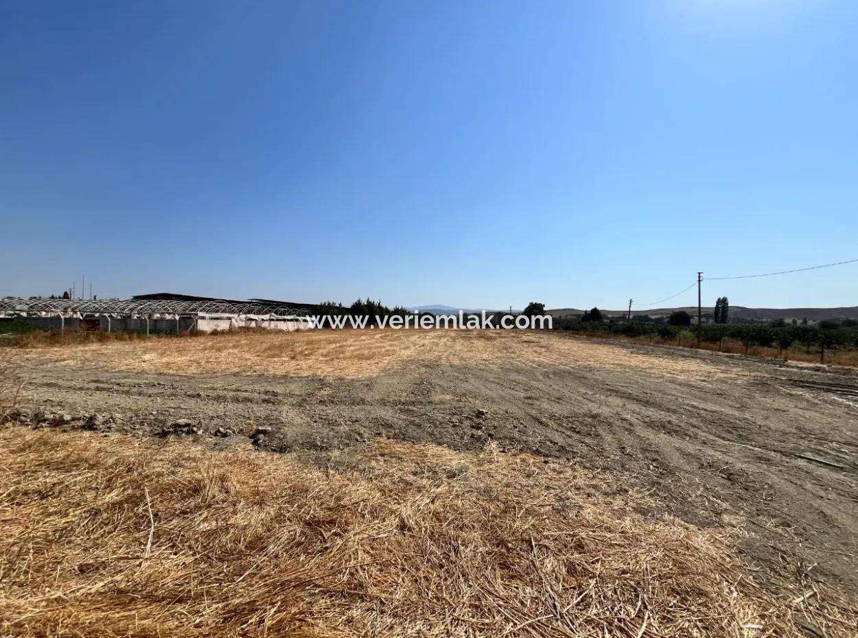 5300 M² Land Suitable For Efficient Agriculture And Animal Husbandry In Seferihisar Düzce District!