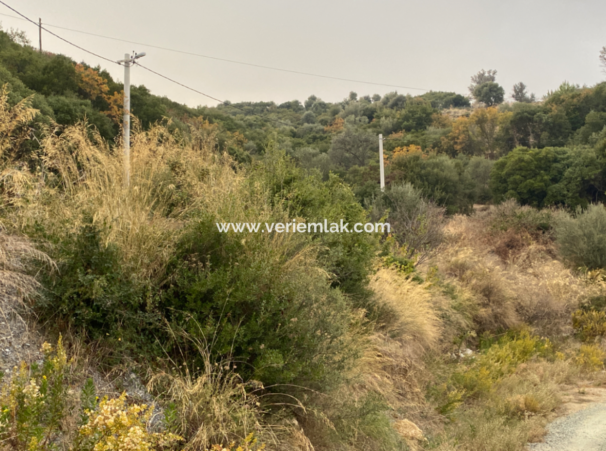 516M2 Plot For Sale Corner Location In Seferihisar Old Orhanli Village