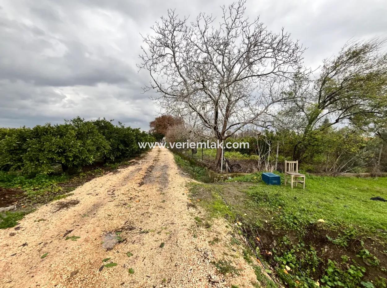 Land For Sale In Seferihisar Hidirlik: Investment Opportunity In Fertile Lands!