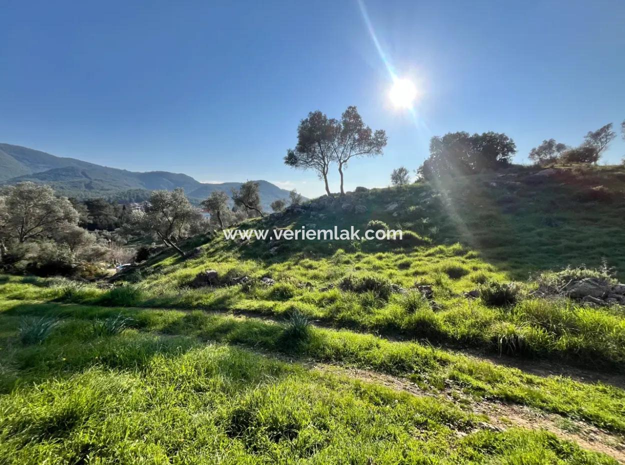 10.000 M² Cadastral Road Front, Panoramic Nature View Land For Sale In Orhanlı, Seferihisar