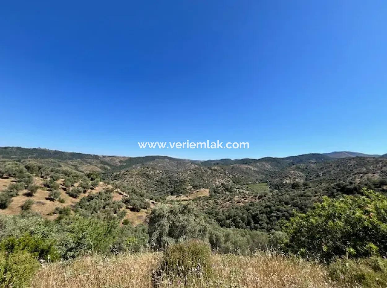 Land Suitable For Living And Investment With Main Road Front In Seferihisar Beyler