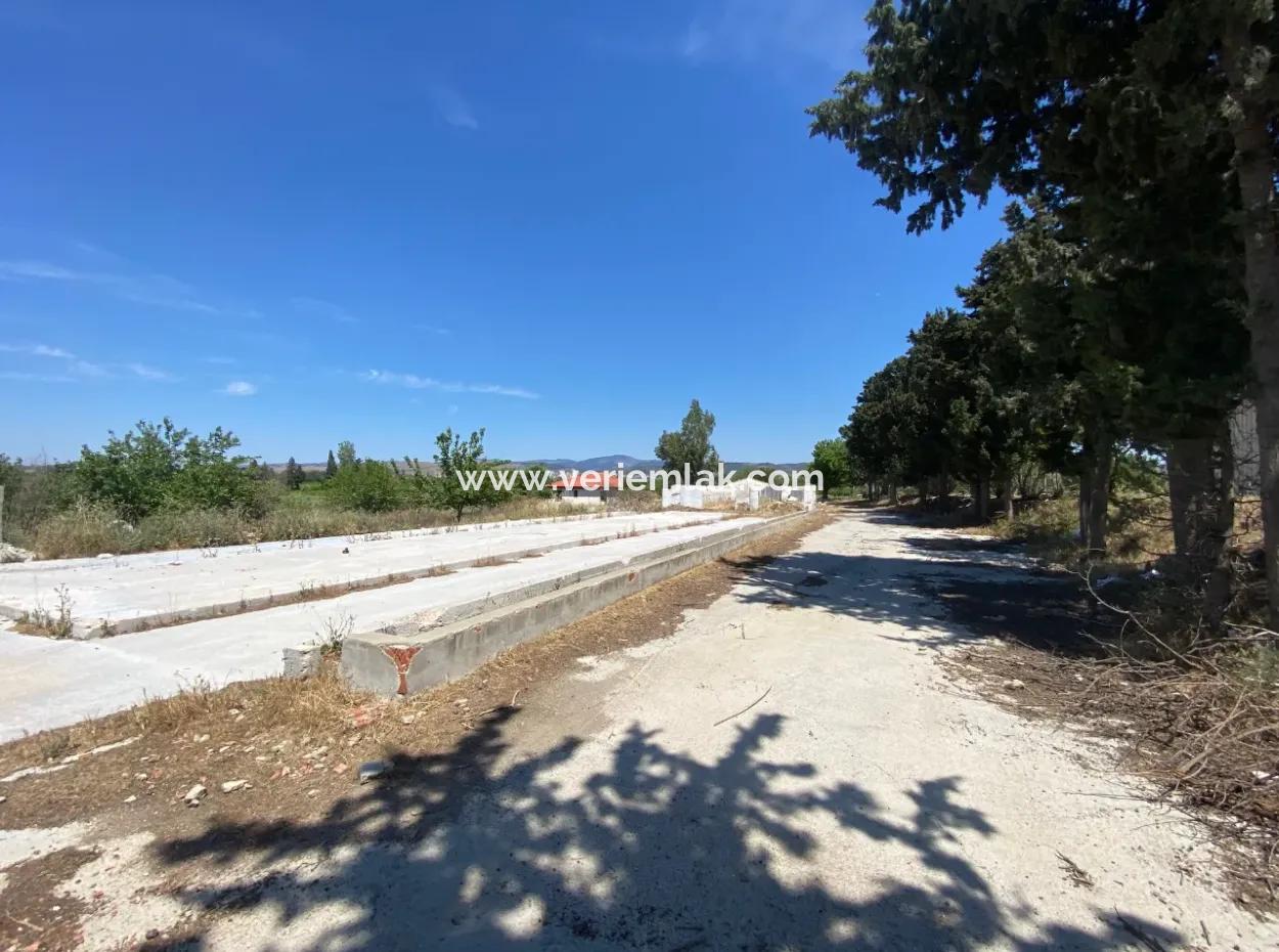 Field In Seferihisar Akarca, Hıdırlık Mah.zoning Border