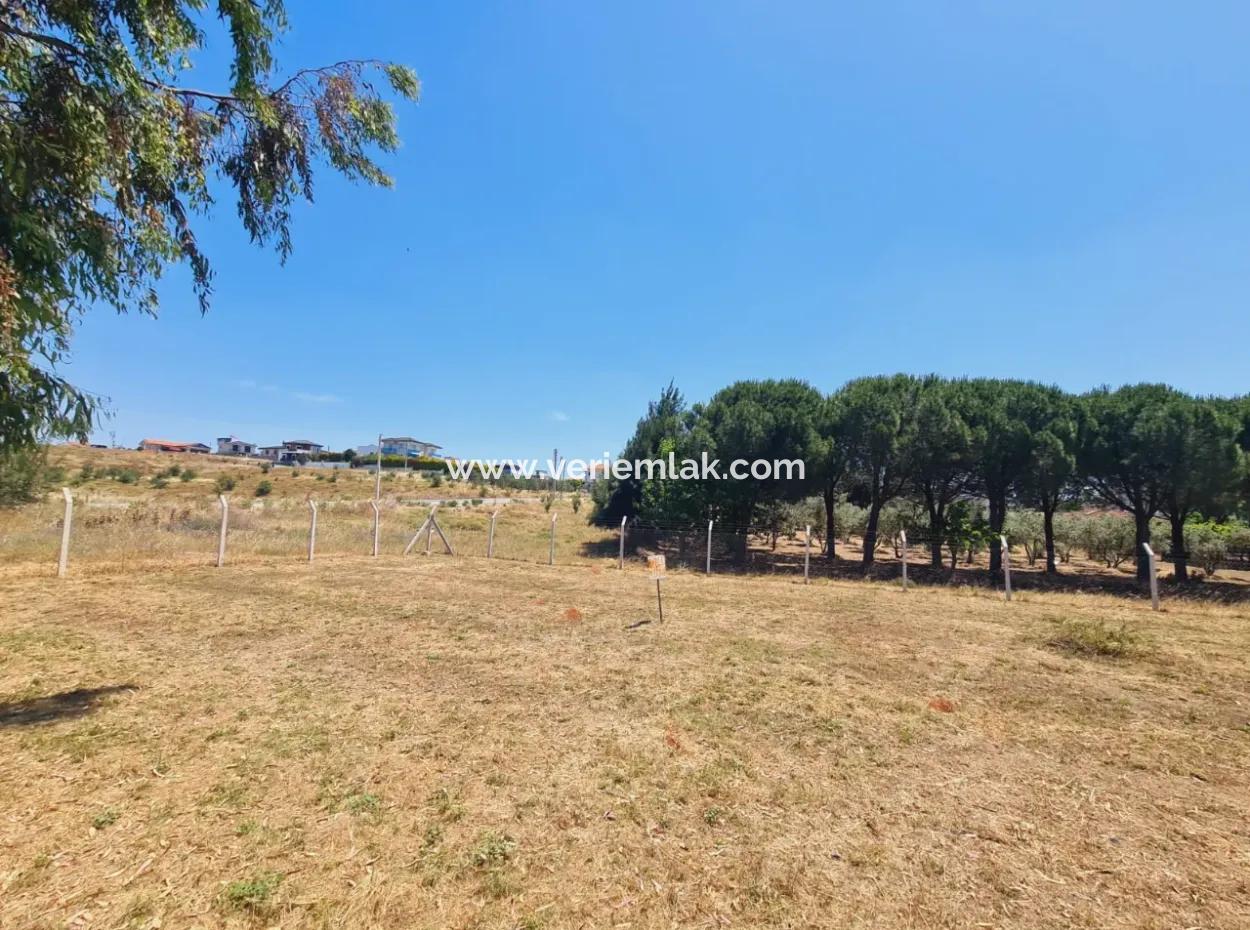 500M2 -20 Zoned Land For Sale In Seferihisar Akarca