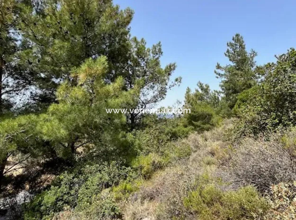 20 Acres Of Land Close To Zoning On Uzbek Road In Urla Rustam