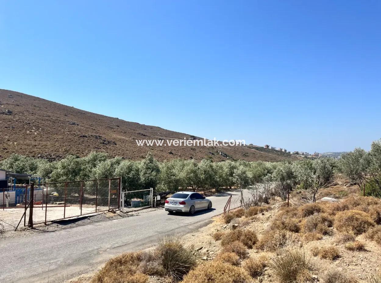 Investment Opportunity On The Road To Sığacık!