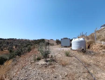 On The Way To Seferihisar Ulamış, Investment Opportunity! 1700 M² Olive Grove Plot With Panoramic View