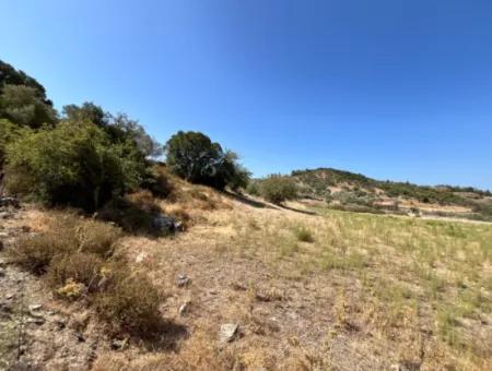 15 Acres Of Olive Grove Suitable For Investment On Seferihisar Beyler Road