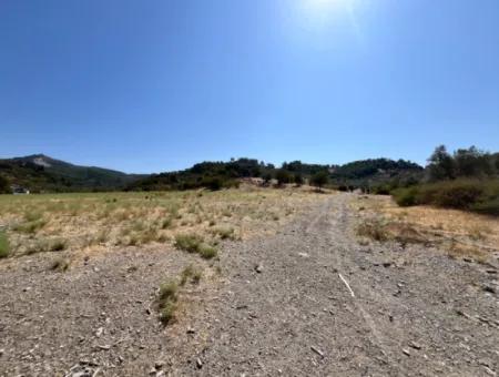 15 Acres Of Olive Grove Suitable For Investment On Seferihisar Beyler Road