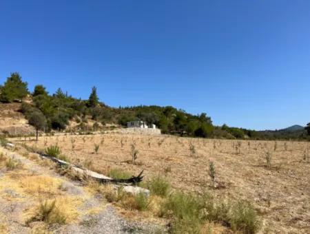 Ideal Plot For Nature Lovers! 7600 M² Vineyard House And Olive Grove Next To Kavakdere Dam