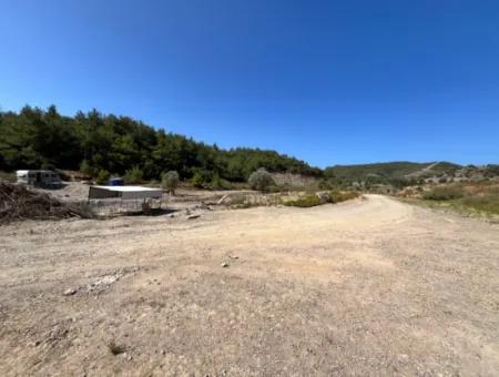 Ideal Plot For Nature Lovers! 7600 M² Vineyard House And Olive Grove Next To Kavakdere Dam