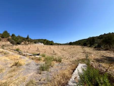 Ideal Plot For Nature Lovers! 7600 M² Vineyard House And Olive Grove Next To Kavakdere Dam